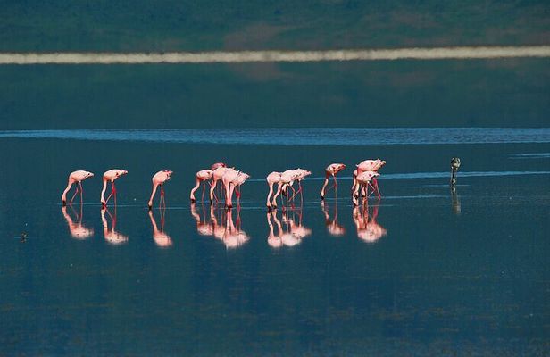 2 Days to Explore Tarangire Safari and Ngorongoro Crater