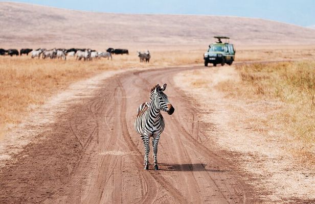 5 Days Exclusive Camping Adventure in Northern Tanzania