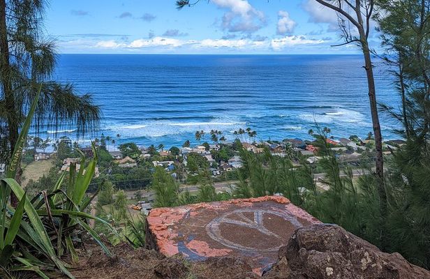 Famed North Shore Tour