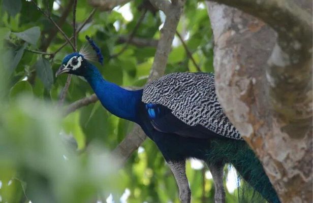9 Days Nepal Private Tour
