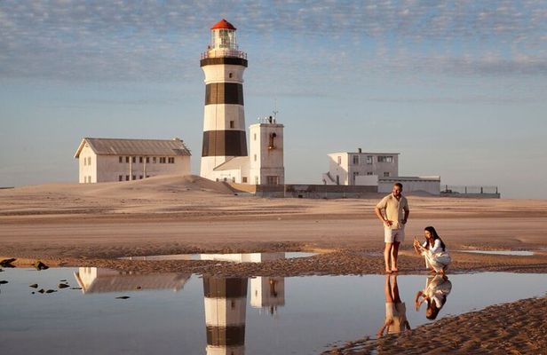 Half-Day Port Elizabeth & Kragga Kamma Reserve