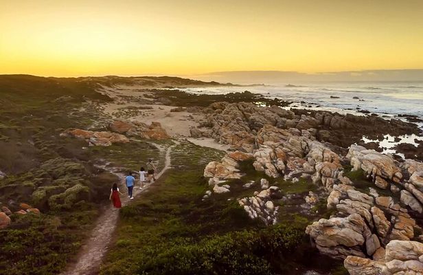 Full-Day Port Elizabeth & Kragga Kamma Reserve