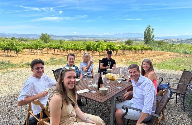Wine Tasting in Three Boutique Wineries Tour - Max 8 people