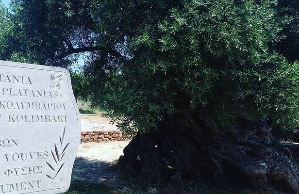 Sips of Crete: Flavors, Legends & Hidden Gems