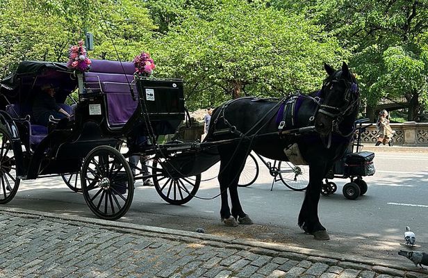 NYC Empire State Horses Carriage Ride in Central Park (45 Mins)