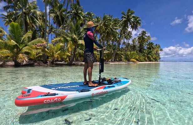 Tahaa Excursion in Electric Paddle Snorkeling Coral Garden