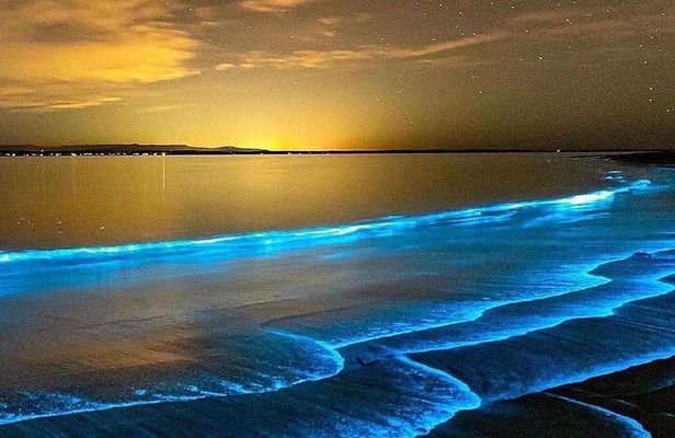 Night Tour-Luminating Blue Lagoon Waters