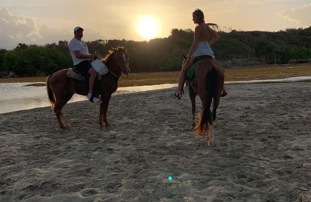 Caballo and Plantacion de Cafe Cacao y Cigarro Punta Cana