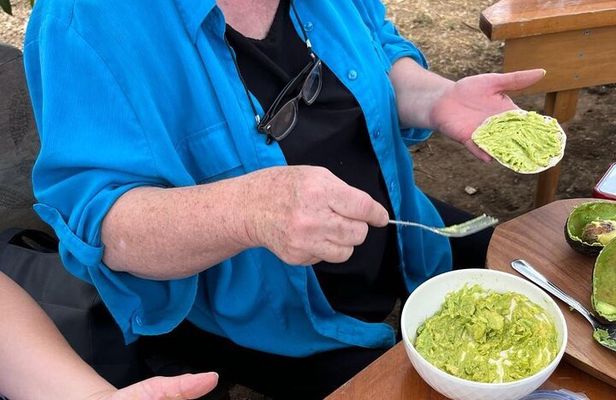 Experience: Organic Coffee, Avocados, Honey & More!