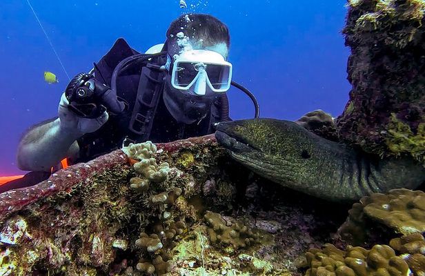 4 Hour Guided Scuba Diving Adventures in Waikiki