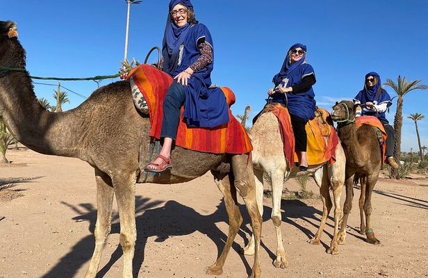 Marrakech day Trip from Casablanca with FREE Camel Ride
