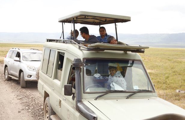 4-Day Tanzania Private Luxury Drive In-Drive Out Safari 2025-2026