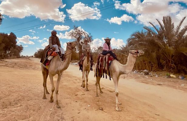 Siwa Oasis Camel Ride & Sandboarding Sunset or Sunrise 