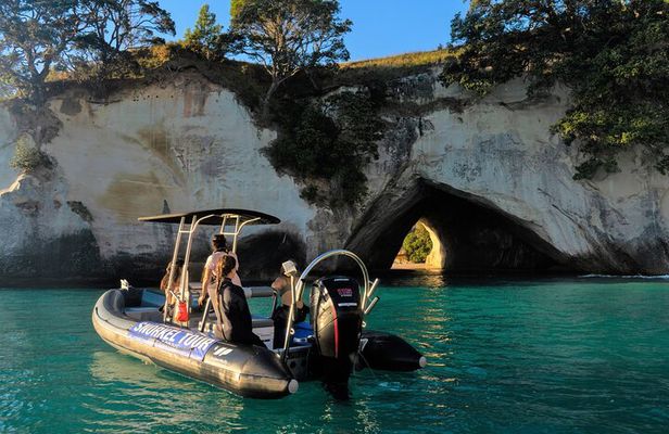 Cathedral Cove Marine Reserve - Specialised Boat Snorkeling
