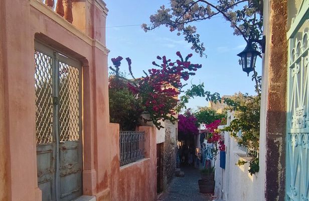 Santorini Essentials Half Day Private Tour
