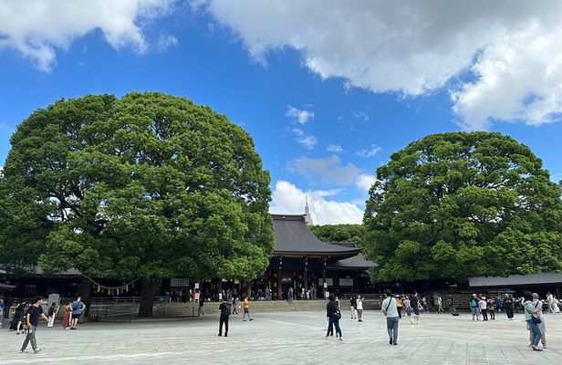 Meiji Jingu Shrine — Japanese Nature Wellness Experience