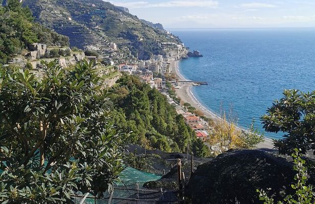Private tour with tasting at the Sentiero dei Limoni