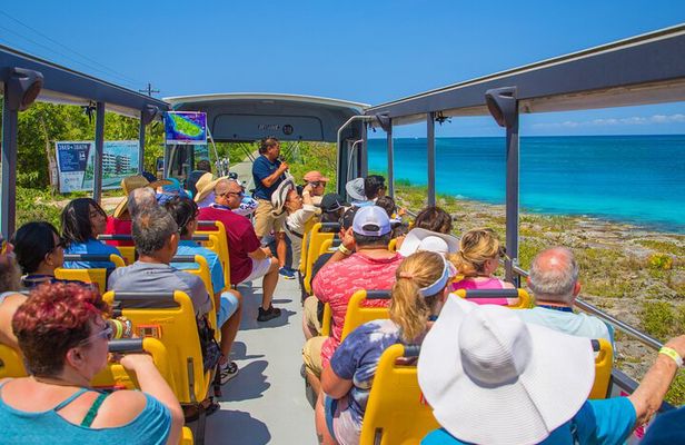 Open Top City Tour & Beach Break