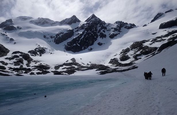 Trekking Vinciguerra Glacier and Laguna de los Témpanos