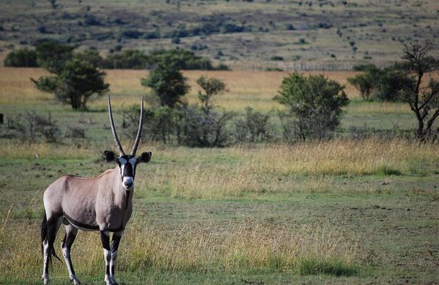 Private Day Trip to Arusha National Park