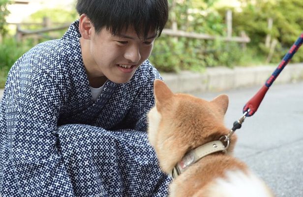 Private Kimono Stroll in Toyama City Possibly with a Shiba Inu