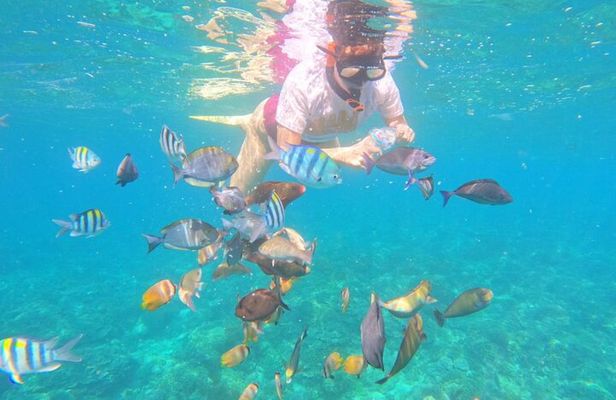 Bali Blue Lagoon Snorkeling with Optional Sightseeing