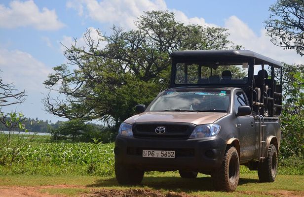 Yala National Park Private Tour with Fast Entry