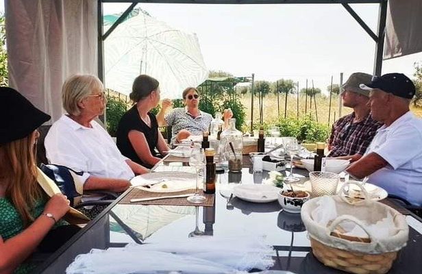 Olive oil tasting with seminar in Metagitsi - Halkidiki