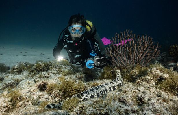Full Day Private Scuba Diving in Espiritu Santo Island