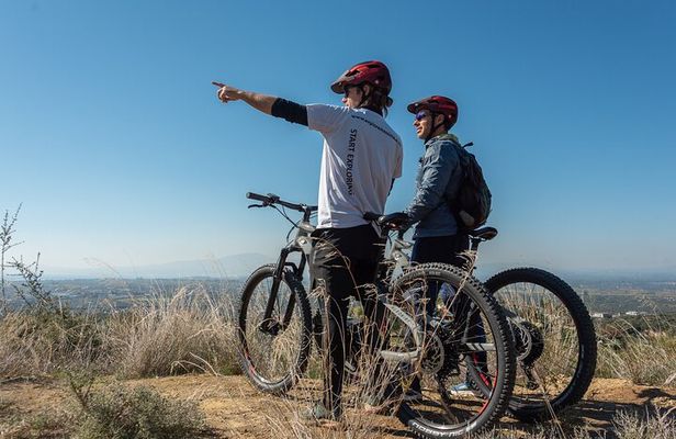E-Bike Kalamata Olive Routes