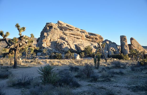 2-days Private Tour to Joshua Tree National Park from Los Angeles