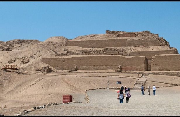 Private Tour in Pachacamac Temple and Pantanos de Villa Reserve