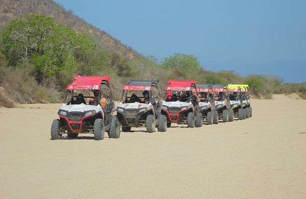 Desert and Beach UTV Adventure with Tequila Tasting