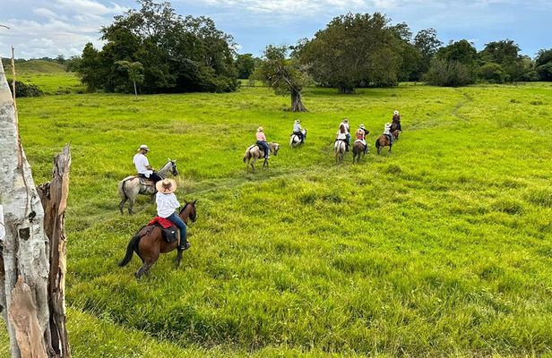 1 Day Horseback Riding at a Real Ranch from Medellin