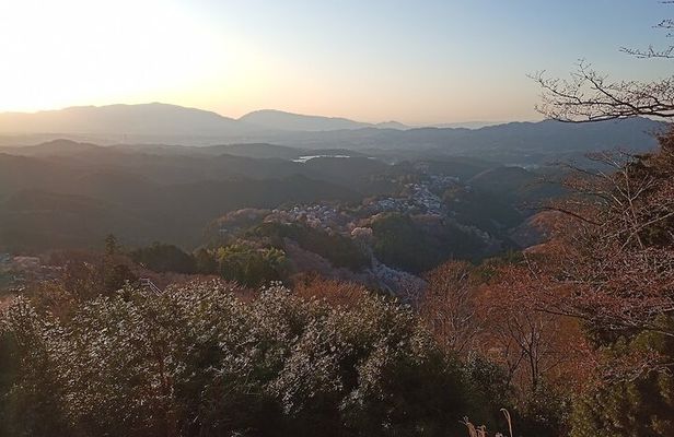 Private Guided Half-Day Walking Tour in Yoshinoyama