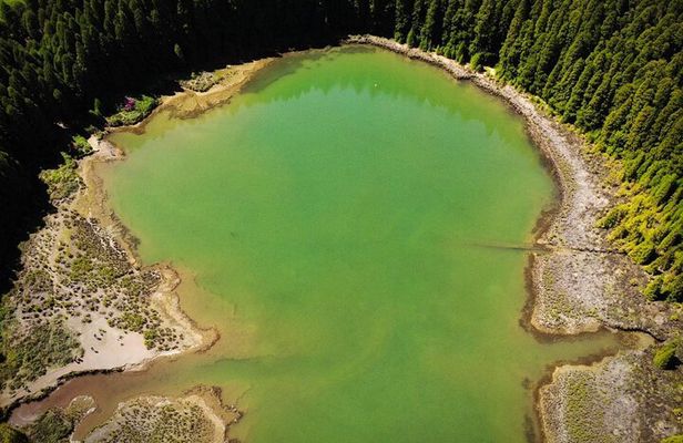 Shore Excursions to the volcano and crater of Lagoa das Sete Cidades