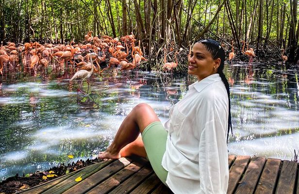 Eco Plan National Aviary and Lunch in Playa Mambo Beach Barú