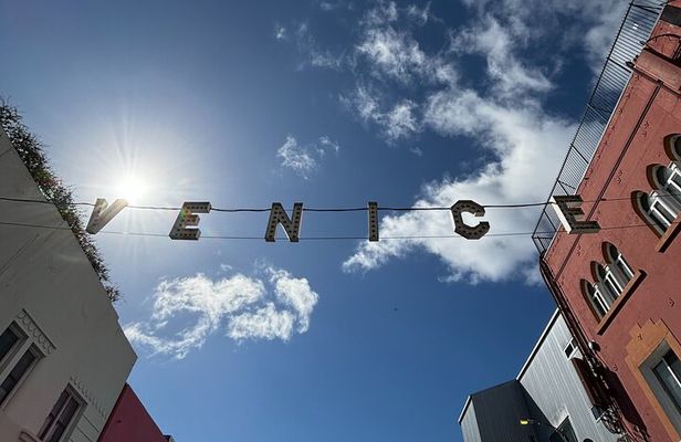 4.5 Hour Venice Beach Open Air Van Tour