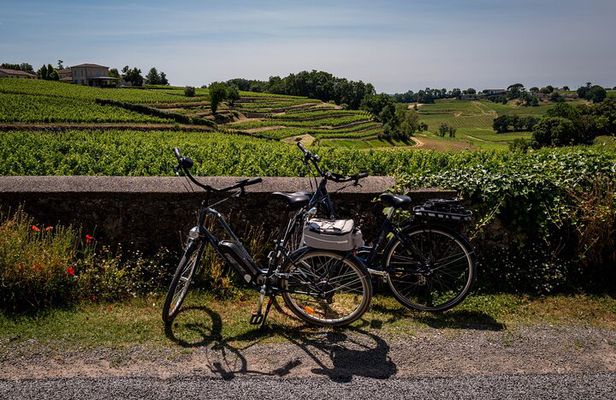 Saint Emilion Half Day Ebike and Wine Tour with Picnic.