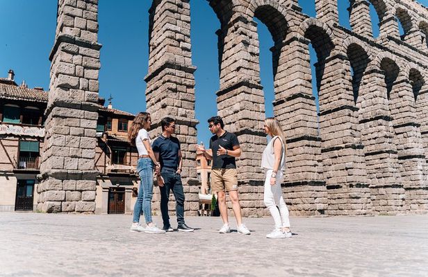 Segovia & Ribera del Duero Winery with Wine Tasting from Madrid