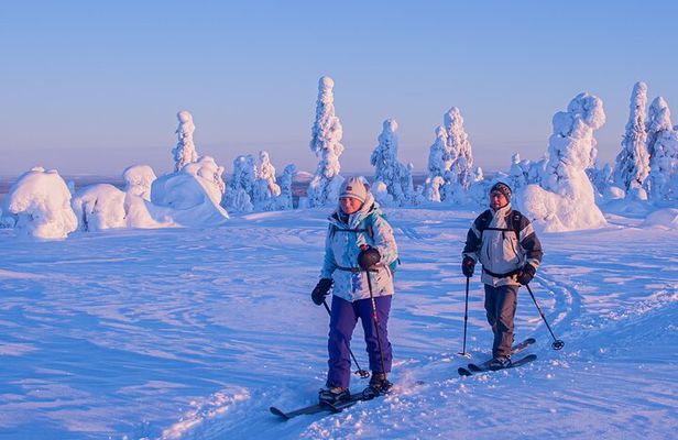 Private Snowshoe or Ski Adventure in Lapland