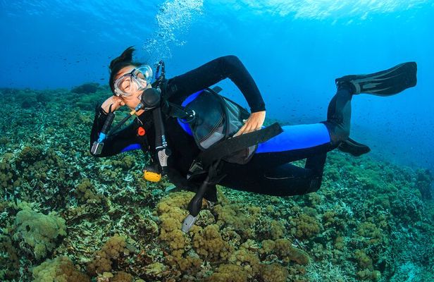 Try Scuba Diving in Racha Yai and Noi for Non-Certified
