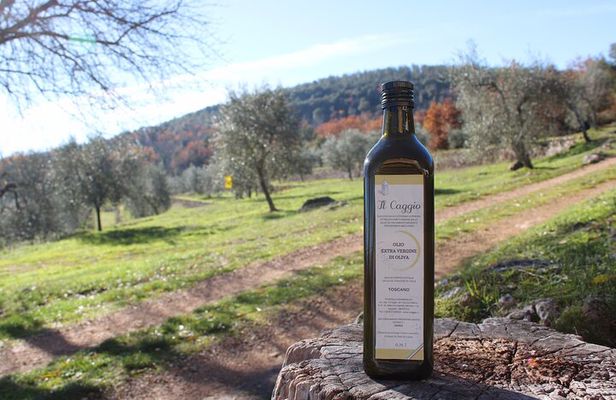 Evo Oil Experience with Oil Tasting and Lunch in the Nature