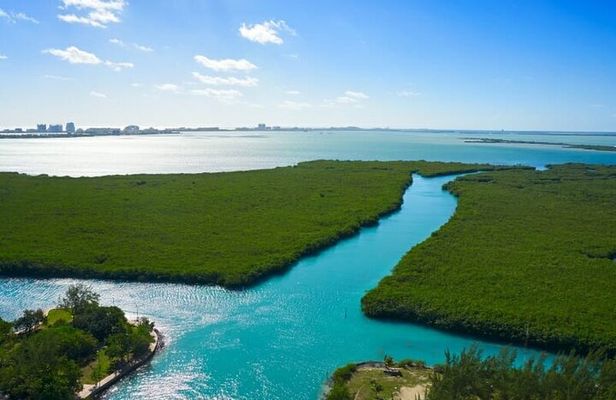 Cancun Jungle Tour with Speedboat and Snorkeling