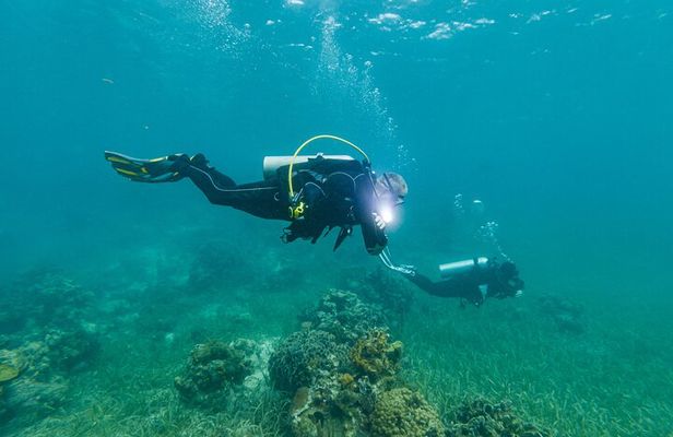 Scuba Dive in the West End of Roatan with Private Transfer