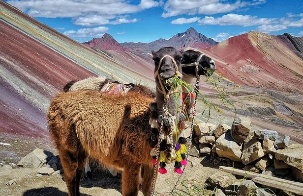 2-Day Machu Picchu and Rainbow Mountain ATV Adventure