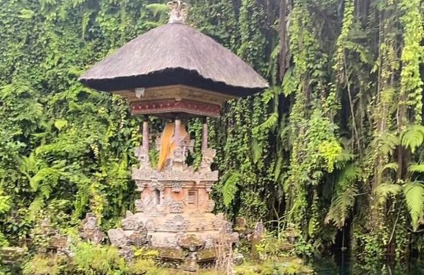 Ubud Tour - Ubud Highlight Culture, Tradition, Nature