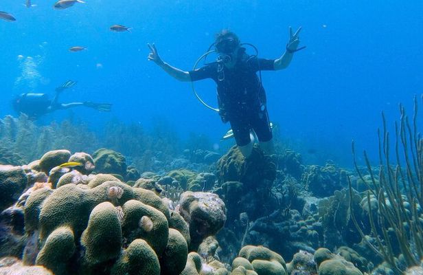 Discover Scuba Diving Experience