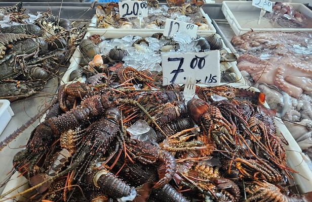 Premium Foodie Tour in Panama Casco Viejo