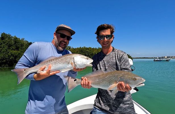 Half day fishing Charter in St. Petersburg Florida